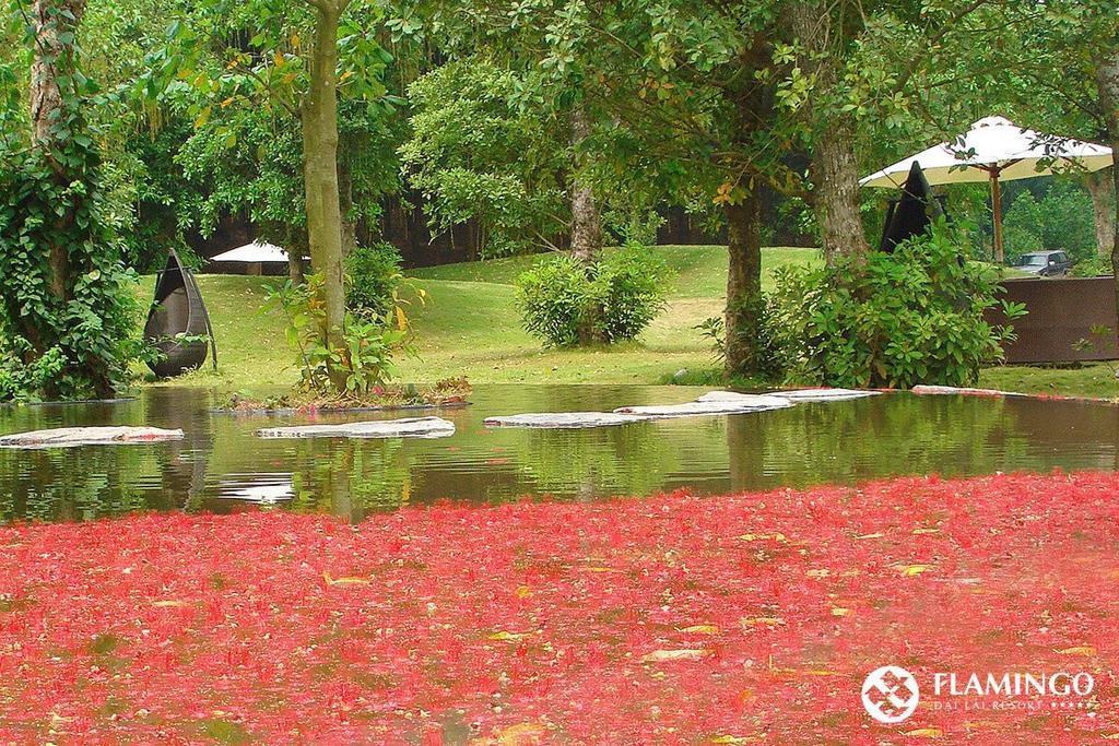 Flamingos Villa Happy Bt Ngoc Quang Экстерьер фото
